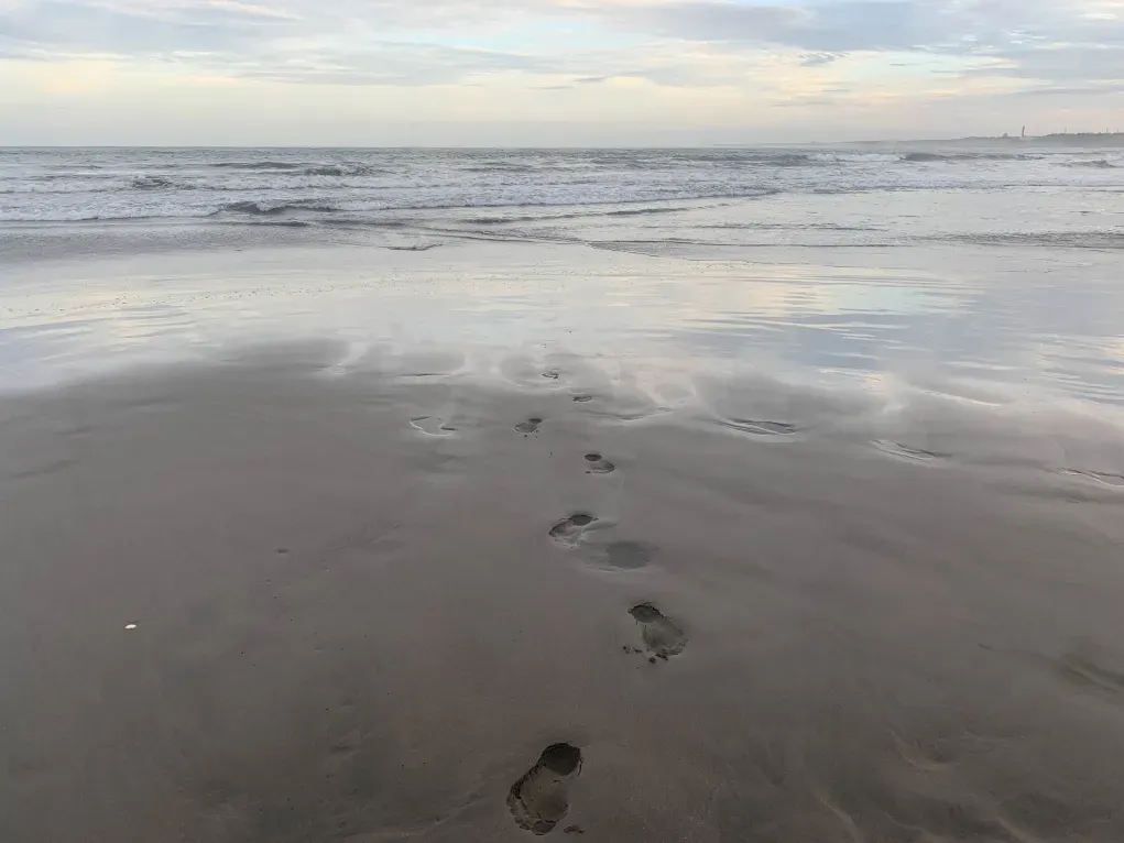 コンテンツのサムネイル