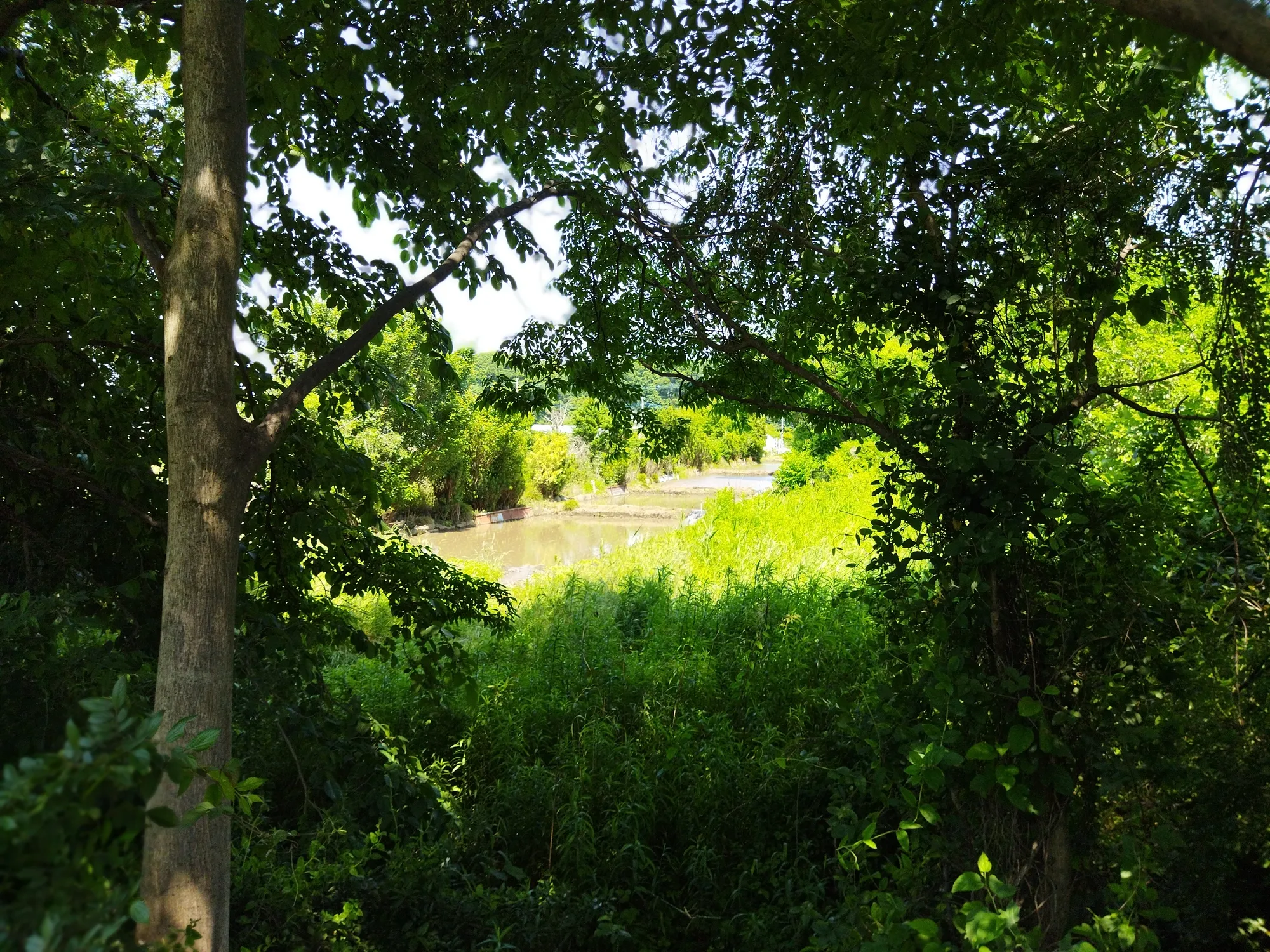 コンテンツのサムネイル