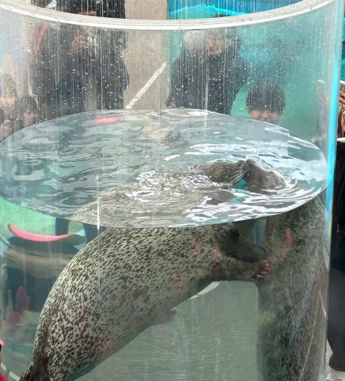 コンテンツのサムネイル