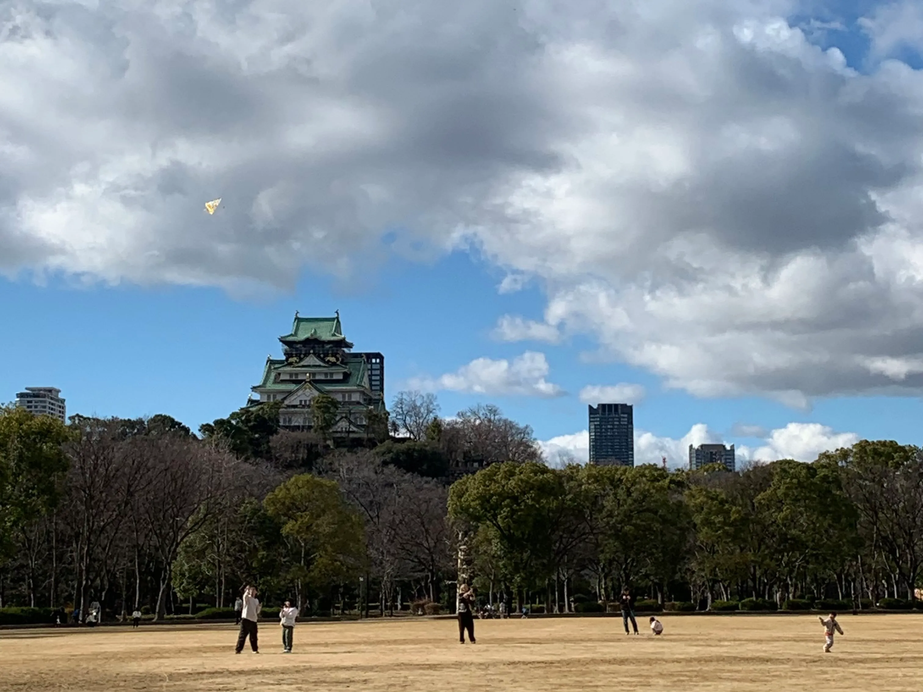コンテンツのサムネイル