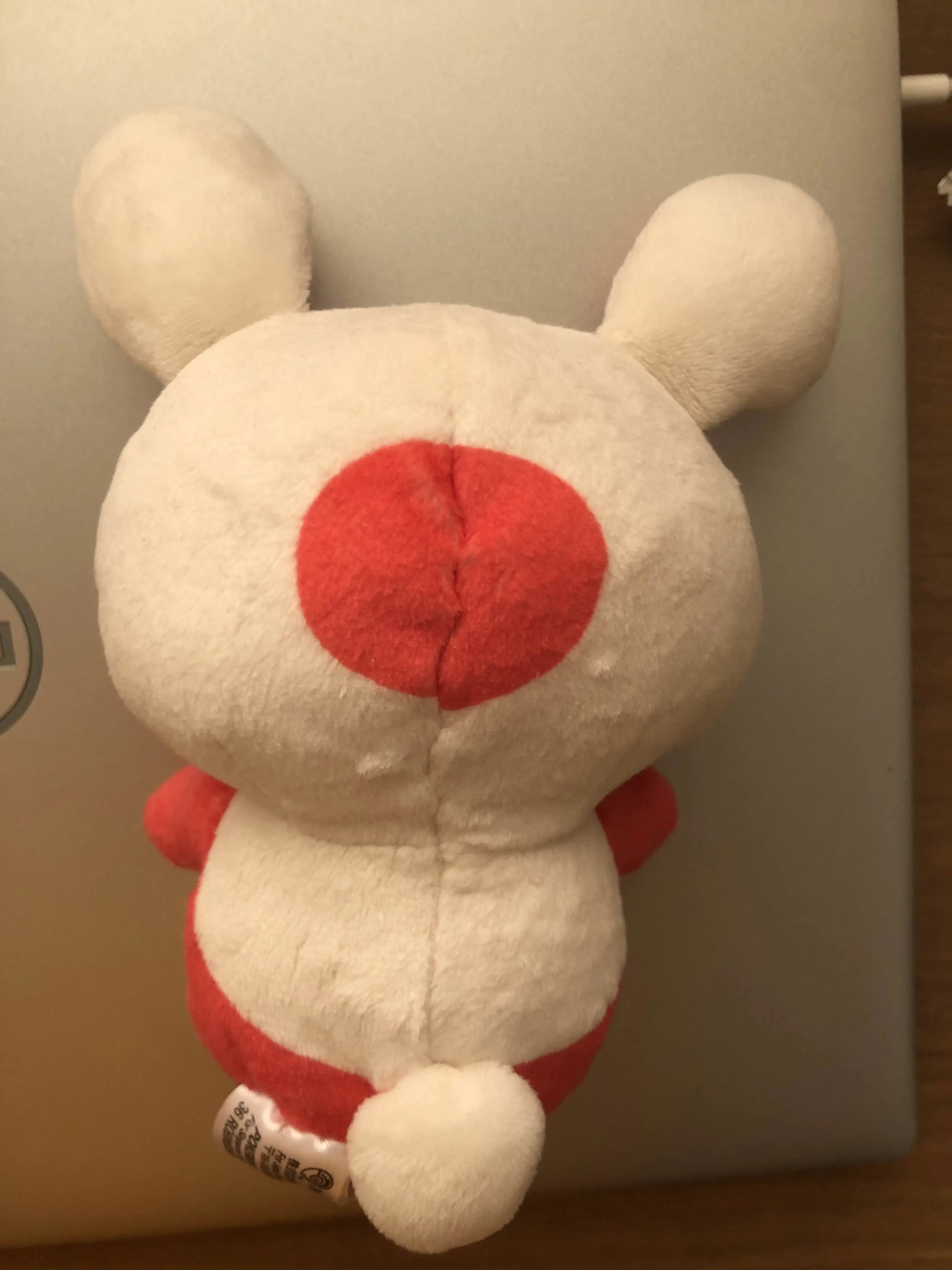 今田きた