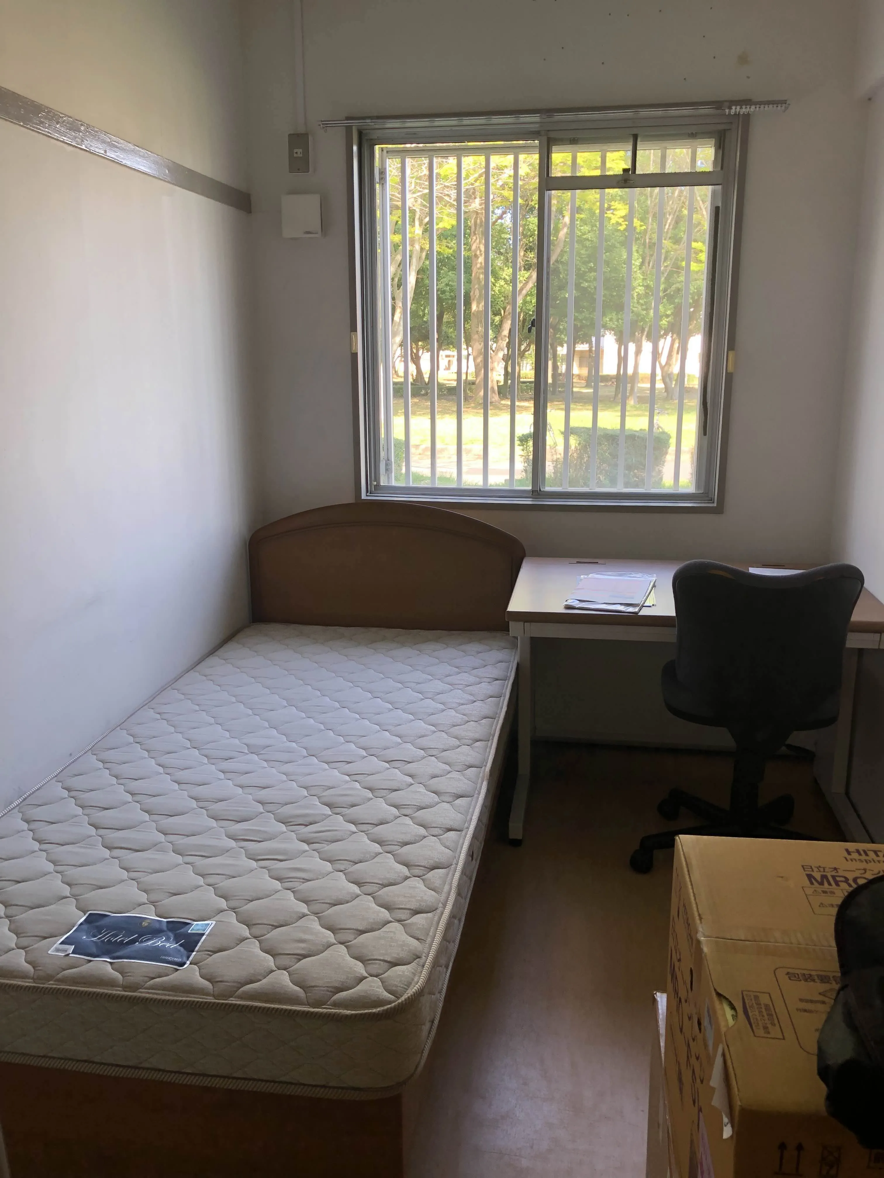 コンテンツのサムネイル