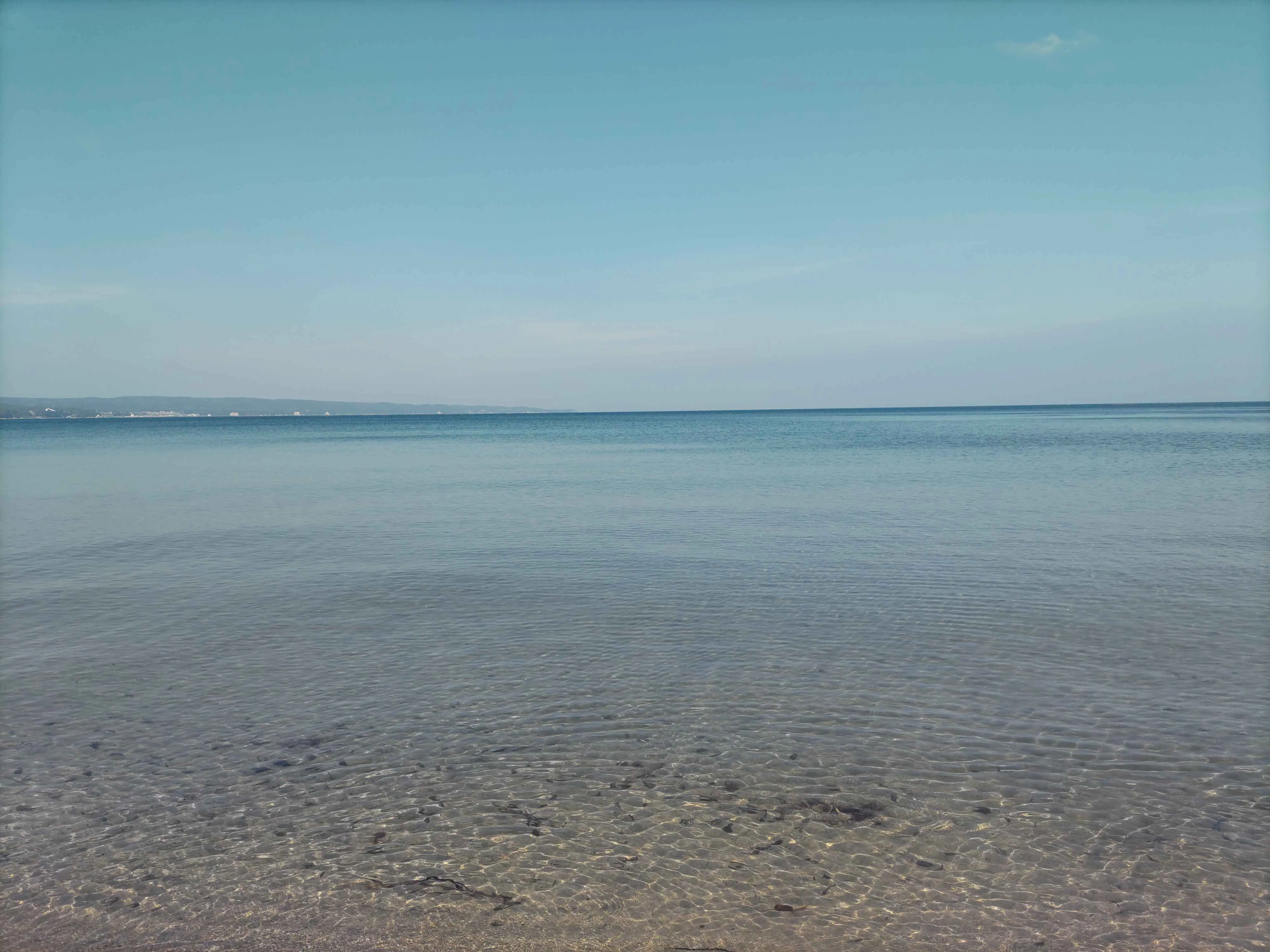 コンテンツのサムネイル